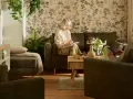 Przytulny salon, gdzie starsza pani pisze w notatniku, a pan czyta na tablecie. Idealne miejsce, by pomyśleć, jak urządzić pokój dla babci.