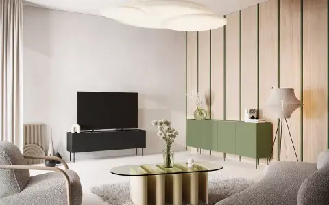 Nowoczesny salon z meblami w kolorze oliwkowym i czarnym. W centrum owalny stolik kawowy, obok szara kanapa i fotel.